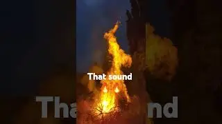 big fire! #amsr #sound #fire #flame #shortsfeed #shorts #short #youtube #youtuber #subscribe #sub