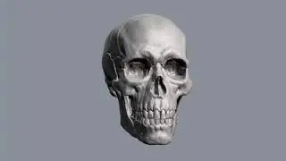 cawrse2