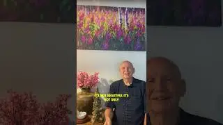 Everything We Hear Is an Opinion | A Short Dhamma Reflection