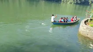Fewa lake fish #fishing 