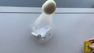 Faire entrer un oeuf dans un erlenmeyer