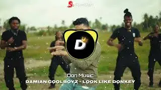 Damian CoolBoyz - Look Like Donkey (Official Video) (Bass Boosted)