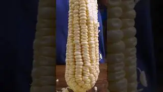The CHEESIEST Corn Bites #shorts