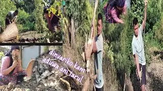 Dinvari ma k k kam gryo tw aaja sathy haru🤗🤗