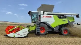 &Zeta;ά&pi;&pi;&epsilon;&iota;&omicron; &Lambda;ά&rho;&iota;&sigma;&alpha;&sigmaf;:Claas Trion 660 &alpha;&lambda;&omega;&nu;&iota;&zeta;&epsilon;&iota; &beta;&iota;&kappa;&omicron; #claas #harvest #combine #farmlife