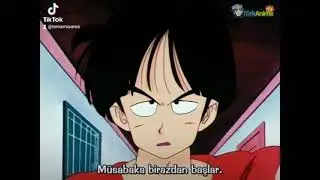 Dragon ball - funny moments