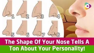 The Shape Of Your Nose Tells A Ton About Your Personality! - Tubeston