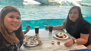 Dine with the Penguins @seaworldabudhabi7167 with @DianneStudio