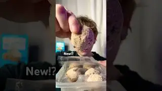 Doughlicious Chocolate Chip Cookie Dough Gelato Bites 😮 #shorts #asmr #mukbang #new