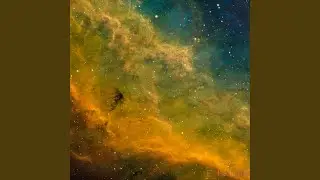 Yellow Stardust
