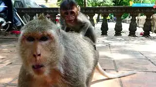 Look So Pity For Tiny Baby Mila That Scared Of Mother Malika Go Away From Her