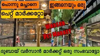 ഇതൊരു സംഭവമാട്ടൊ/International pet market Dubai/Al Warsan Pet Market/Dubai's largest pet market
