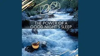 Sleepy Journey