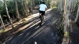 Markham Trails