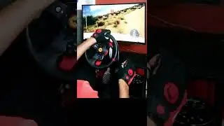 EA WRC 24: VOLANTE DE PC / Rally insano
