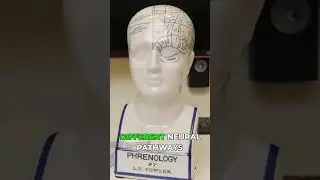 Your Brain: A Billion Computers for Face ID?