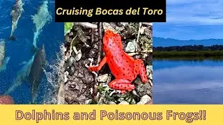 Cruising Bocas del Toro Panama... Beautiful eco paradise!  HD 1080p