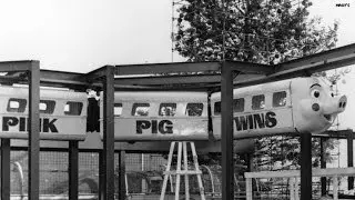 A slice of holiday delight: the Pink Pig!