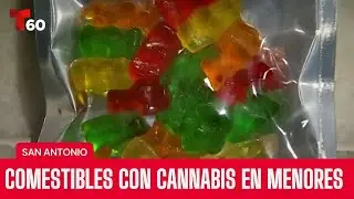 &ldquo;Es un peligro&rdquo;: aumento en consumo de comestibles con cannabis en menores | Telemundo 60