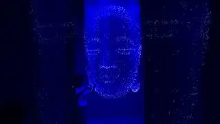Fibre optic light with DMX control for customised images.
