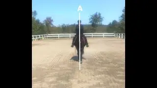 How to Improve Your Centerlines !