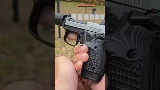 Beretta 20X Bobcat 22lr