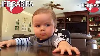 So Funny & Cute Babies Arguing with Daddy Compilation, Funny Babies and Daddy Videos Life Babies