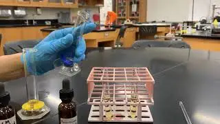 Urinalysis Chemical Test For Phosphates
