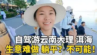 想来云南大理躺平生活？看看洱海的龙龛码头，风景很美但生意竞争激烈！#云南#travel #旅行 #美女