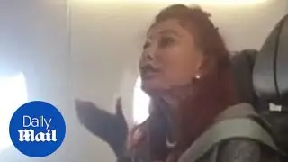 Unruly woman kicked off plane for refusing to put dog in carrier - Daily Mail