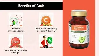 Sitaram Ayurveda Amla Capsules | For Stronger Immunity, Shiny Tresses and Blemish-free Skin