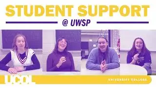 Student Support Interviews | University College