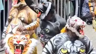 The famous Tiger dance(pulli kali)of Kerala @jopaaztrack