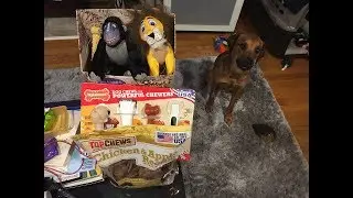 Dog Supplies Haul - Costco Treats & Toys (April 2018)