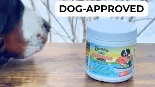 Struggling to Compare Dog Omegas? This 5X Potency Chew Made It Easy