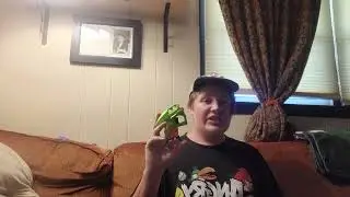 Nerf review: Nerf N-strike bowstrike