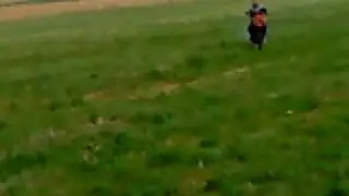 MOV00140