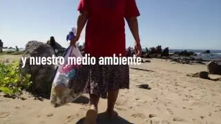 Costa Grande &middot; Costa Limpia &middot; Algo est&aacute; pasando en Guerrero