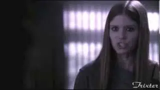 American Horror Story | role-game |