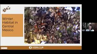 Be the Super Generation to Save the Monarch Butterfly