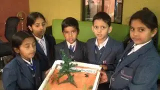 CD International School students giving presentation on science project.