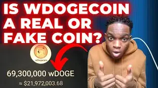 Wdogecoin - How to withdraw Wdogecoin | is Wdogecoin real or fake?