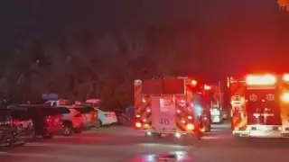 Wilton Manors carnival riders rescued from ride