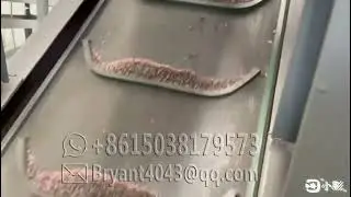 400 500 kg/h copper wire granulator copper cable wire chopping machine copper wire recycling machine