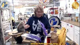 FFRC Boxes 11-18-2019 Friends of Felines Rescue Center (FFRC)