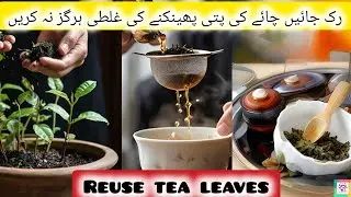 Chai ki Istemal Shuda Patti Kaise Istemal Karen| Tea Leaves Waste Hacks| Uses of leftover tea leaves