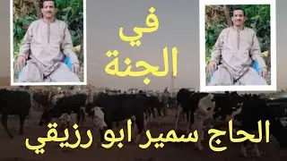 الصعايدة في أسواق المواشي تجار ومزارعين بيدعولو شوف قالو عنو إيه