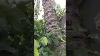 للبيع 27 فدان قلبشو المنصوره الجديده ارض مشاءالله ربنا يبارك لصاحب النصيب
