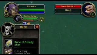 How to Find the Steady Shot Rune - Hunter Season of Discovery, WoW, 2k