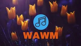 Marc Vinyls - The Source